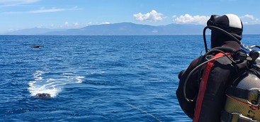 Un nuovo robot sottomarino in dotazione al Centro Strategia Marina Arpacal