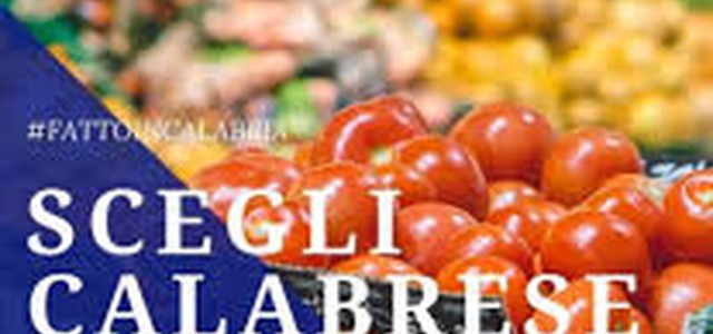 Codacons: Squallidi simboli Lega sui manifesti della Regione Calabria