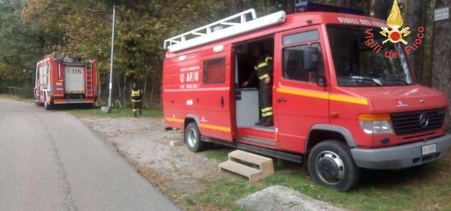Anziano si perde nei boschi della Sila, ritrovato in buone condizioni