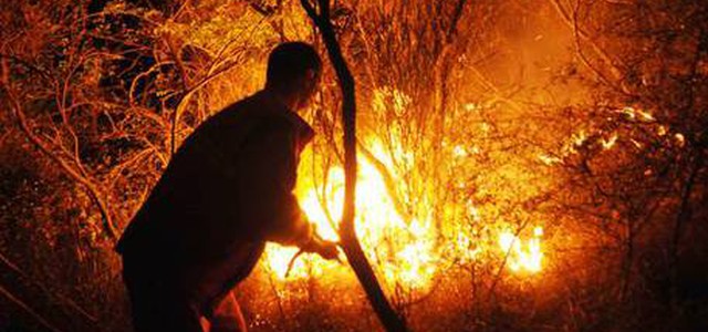 Tentò incendi in bosco Parco Sila, arrestato
