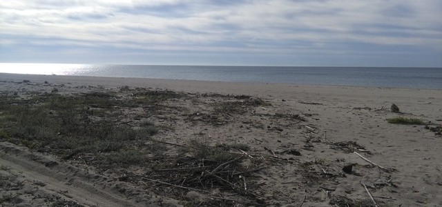Riccio: "Perché la spiaggia di Bellino non viene pulita? Fa parte di un altro Comune?"