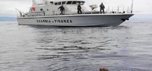 Soccorsa tartaruga in grave difficoltà
