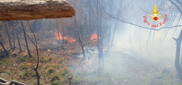Incendi boschivi sparsi. Oltre venti unità impegnate a domare le fiamme( FOTO E VIDEO)