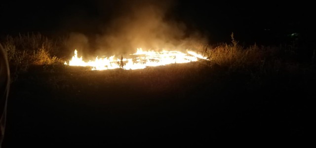 Saccomanno (Lega Calabria). La ‘ndrangheta distrugge la vera cipolla rossa di Tropea.