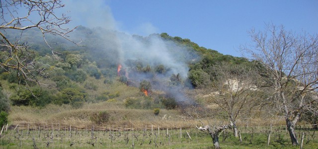 Denunciato pensionato per incendio boschivo colposo