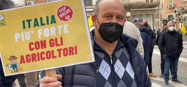 Coldiretti Calabria: situazione drammatica delle aziende agricole.