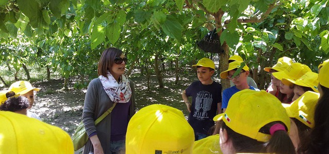 Sta per chiudere con successo l’edizione 2017 del progetto didattico “Baco da seta” 