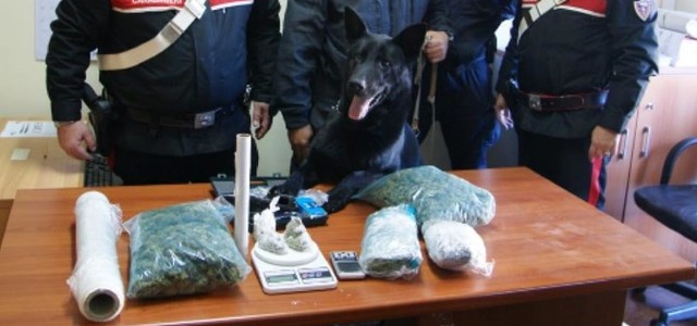 Nascondeva droga nella gabbia degli uccelli, arrestato 29enne