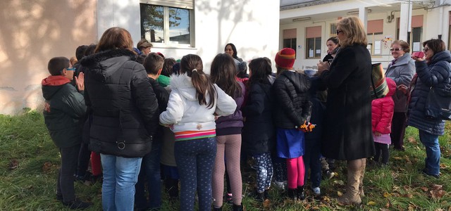 Svolta la festa Nazionale dell’Albero 