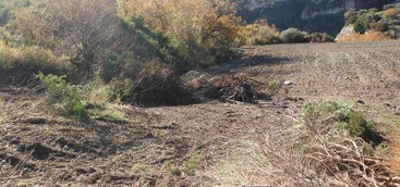 Macchia Mediterranea estirpata senza autorizzazione