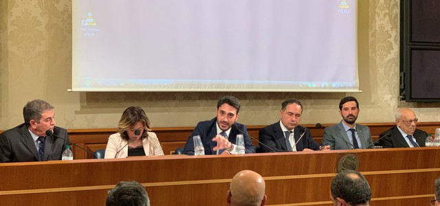 Varia di Palmi - Irto al Senato: "Evento di prestigio internazionale"