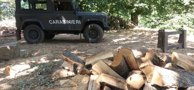Sequestrata un’area boschiva in località Monte Giove 