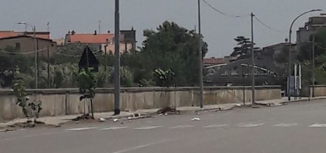A Voce Alta: "Via dei Conti Falluc, ripulita"