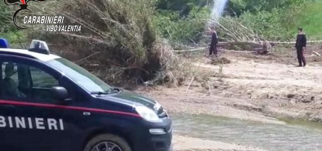 Sorpresi a tagliare alberi vicino al lago Angitola, denunciate tre persone