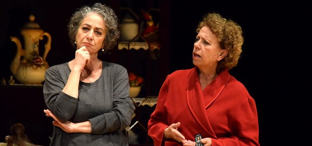 Successo per la commedia “Sugo finto”