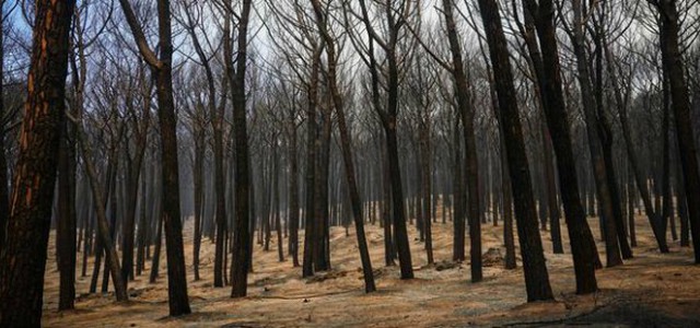 Sorgiovanni: aggiorniamo il catasto incendi comunale