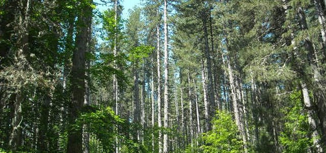 Dal Psr un milione di euro per i piani di gestione dei siti Natura 2000