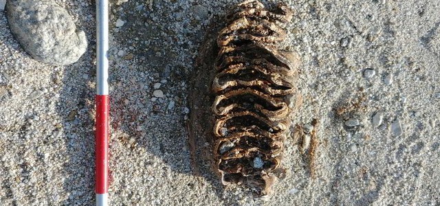 Al Centro Visite ‘Cupone’ le ultime scoperte
