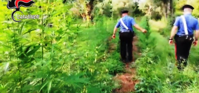 Associazione mafiosa, droga ed estorsione: misure cautelari per otto persone
