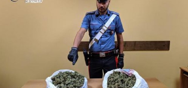 In auto con due kg di marijuana, arrestato 26enne nel Catanzarese