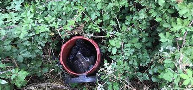Nascondeva 1,2 kg di droga, arrestato