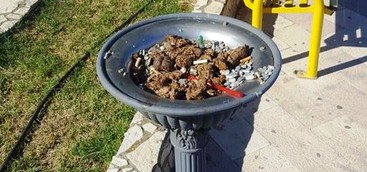 Quando l'inciviltà supera ogni limite: escrementi nel posacenere sul lungomare di Catanzaro