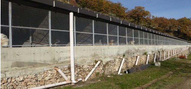 Concluse indagini su canile Mendicino