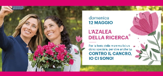 Azalea della ricerca - torna domenica nelle piazze calabresi l'iniziativa dell'Airc