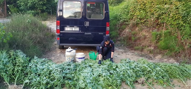 Carabinieri, 4 arresti a Crotone