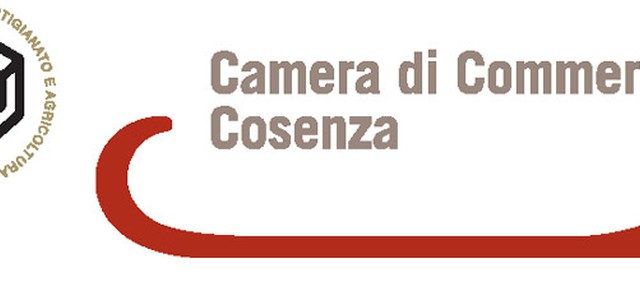 I pagamenti dei debiti commerciali delle Amministrazioni pubbliche