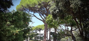 Domenica 5 giugno un evento che, per la prima volta, propone la riscoperta di Villa Margherita dal punto di vista storico e anche naturalistico