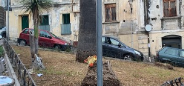 Catanzaro, Veraldi: "Finalmente effettuato sfalcio in Piazza Mottola D’Amato"