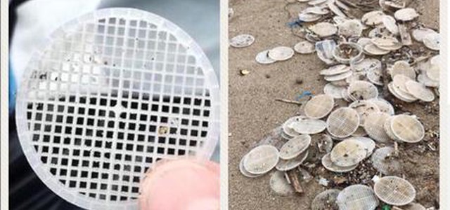 Dischetti di plastica nel Tirreno, erano filtri di un depuratore
