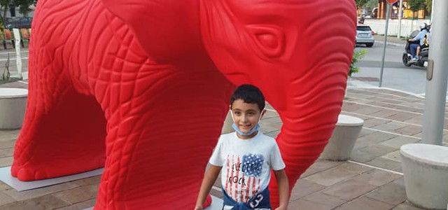 CATANZARO SI FA BELLA CON LA  CRACKING ART