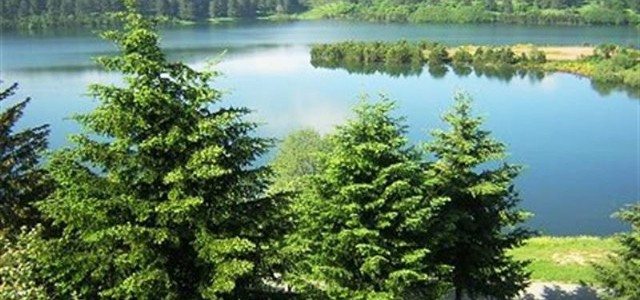 Valorizzare il Parco nazionale della Sila, Zicchinella propone ‘gli stati generali’