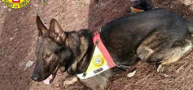 Dispersi su monti Sila, cane li ritrova