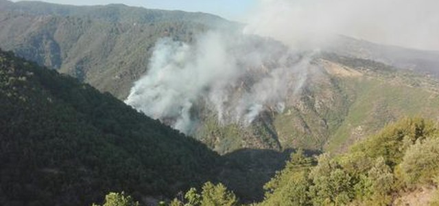 Provoca incendio nel Parco della Sila, denunciato