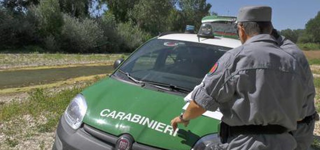 Dipendenti ditta boschiva calabrese beccati a rubare in Riserva, quattro arresti
