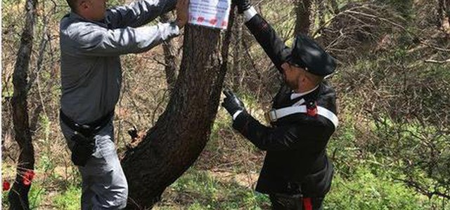Incendi: sequestrati alcuni boschi