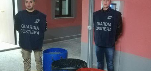 Sequestrati 3 quintali novellame sarda