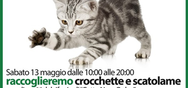 La Foresta che Avanza rinnova la sua promessa di aiuto al GattoNero Onlus