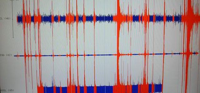 Terremoto di magnitudo 3.5 nel cosentino, scossa 2.9 nel crotonese