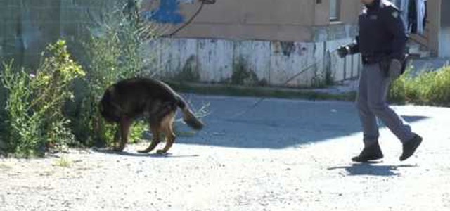 Controlli antidroga nella zona sud di Catanzaro (VIDEO)