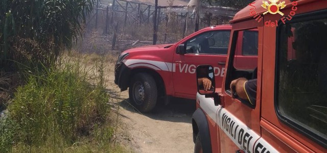 Vasto incendio a Davoli Marina