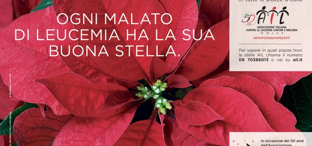 LEA CONCOLINO: “TORNANO LE STELLE DI NATALE AIL IN PIAZZA PREFETTURA”
