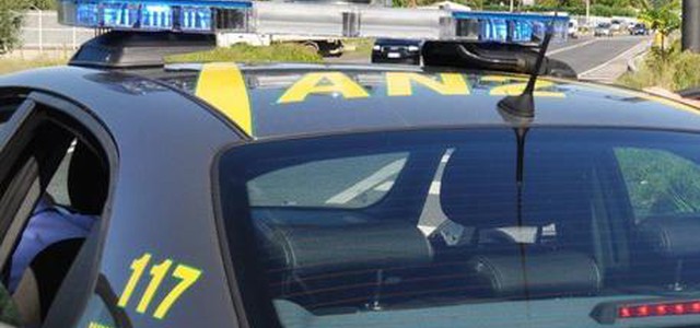 Sequestrate tremila piante di marijuana in vivaio