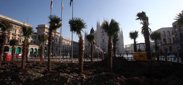 Milano, bruciate nella notte tre palme in piazza Duomo