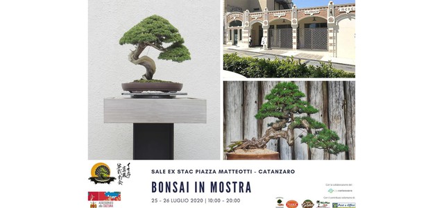 "Bonsai in mostra" all'ex Stac di Catanzaro sabato 25 e domenica 26 luglio