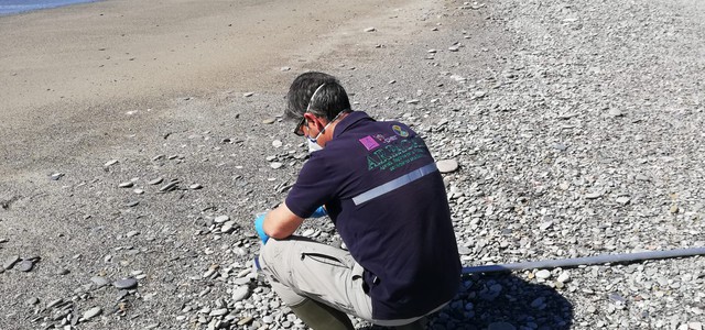 Al via la campagna di Balneazione 2020: online i report provinciali e regionale
