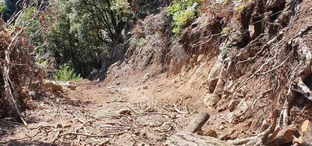 REALIZZA STRADA NON AUTORIZZATA ALL’INTERNO DI UN BOSCO